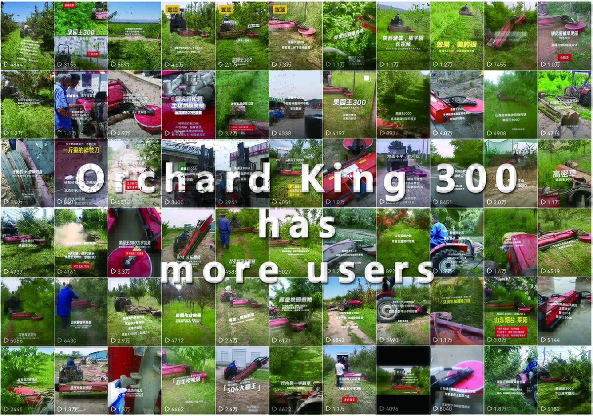 Orchard King 300 swing arm flail mower, the most popular orchard mower in China
